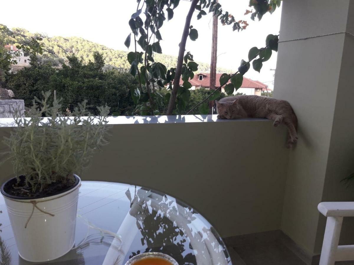 Spiti Portokali Apartment Epidaurus Ngoại thất bức ảnh
